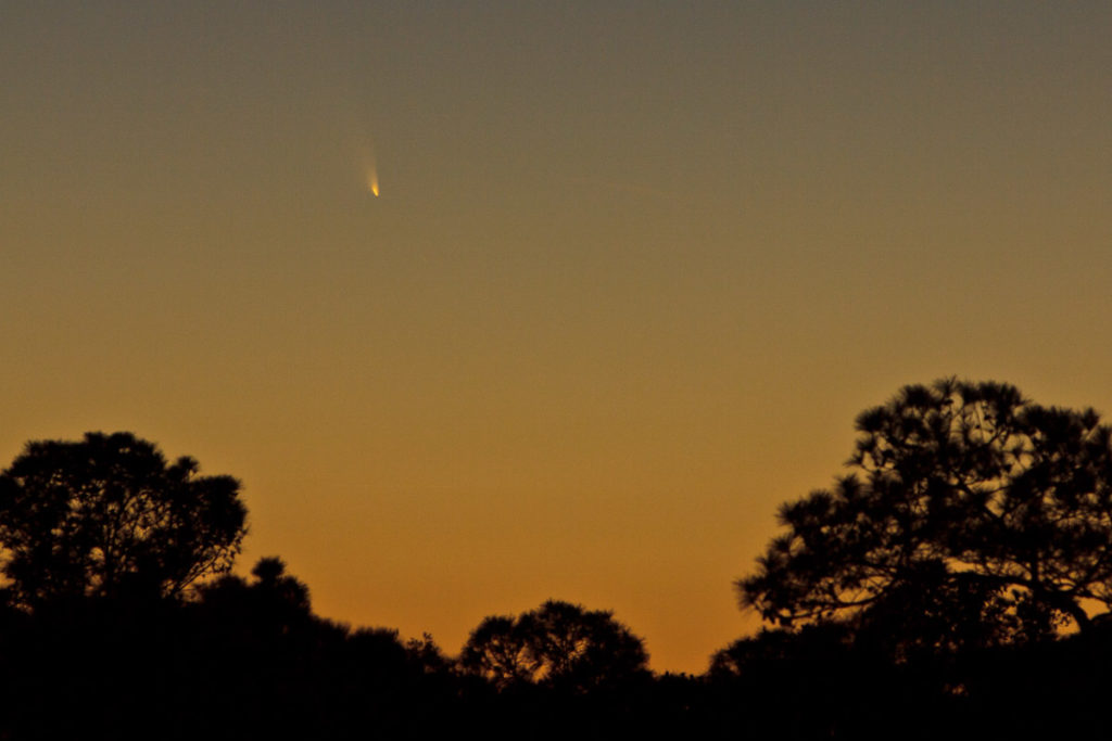 pan starrs comet in 2013