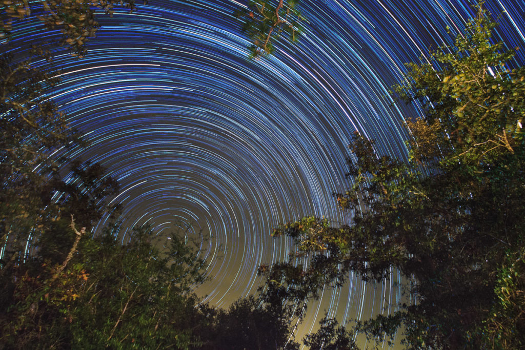 star trails at gold head branch state park in florida